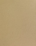 Cardstock - Tan Kraft 100 lb.