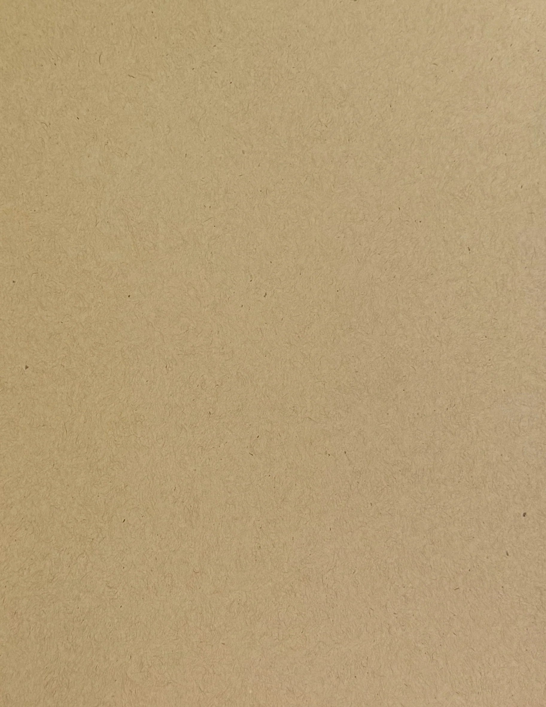 Cardstock - Tan Kraft 100 lb.