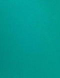 Cardstock - 100 lb. Heavy-Weight