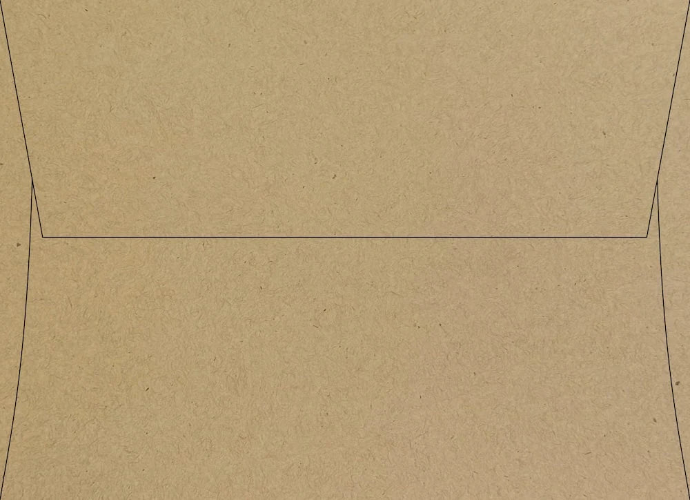 Envelopes - Lunch Bag Kraft