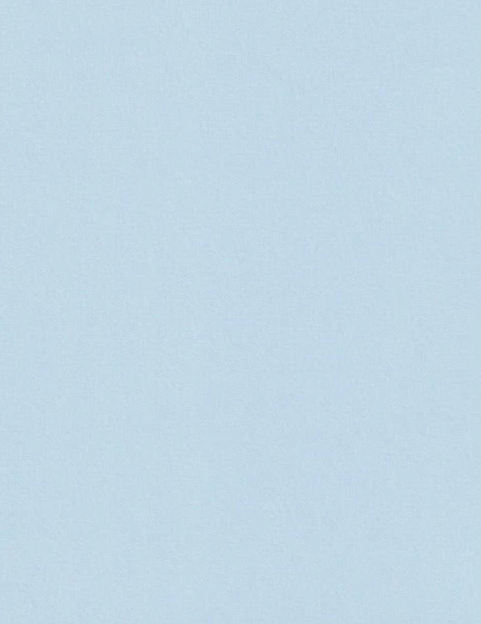 100 lb. Heavy Weight, Solid Core Cardstock