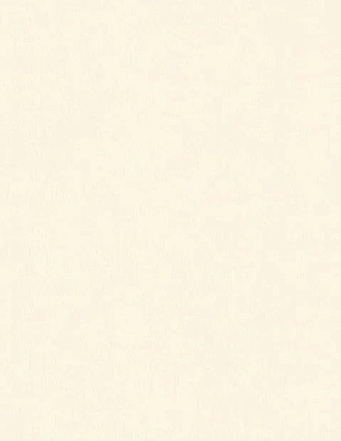 100 lb. Heavy Weight, Solid Core Cardstock