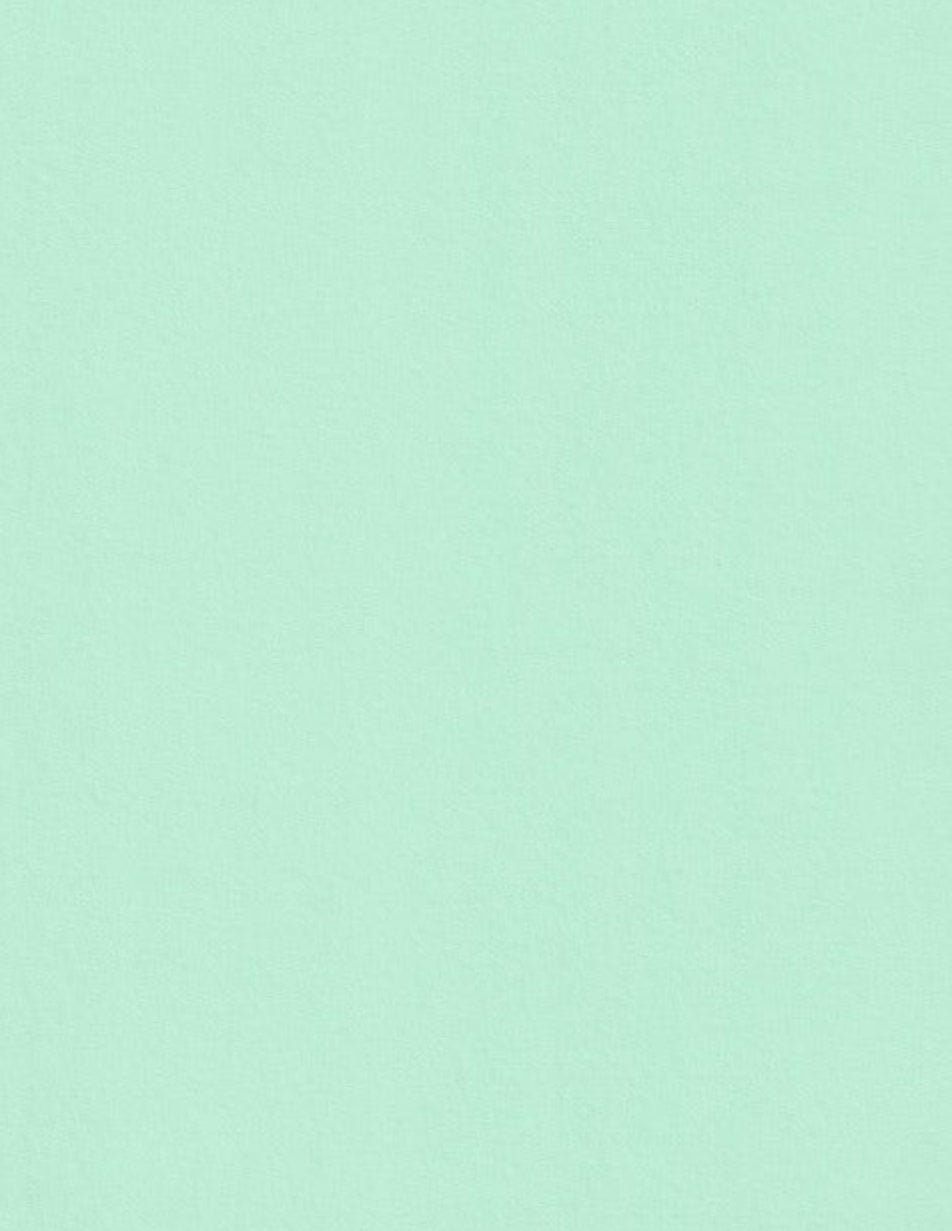100 lb. Heavy Weight, Solid Core Cardstock