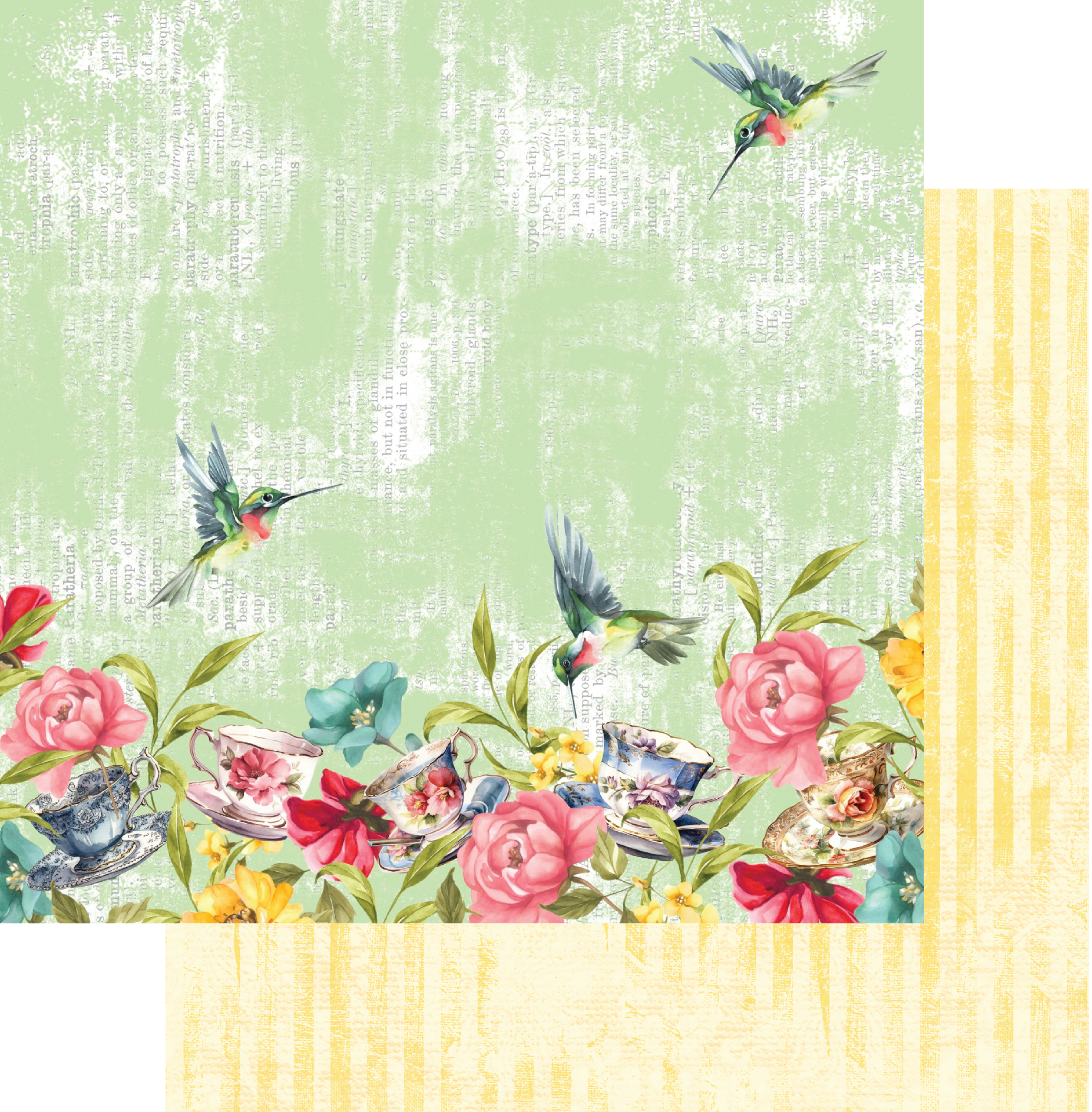 Adventures in Wonderland 12x12 Patterned Paper