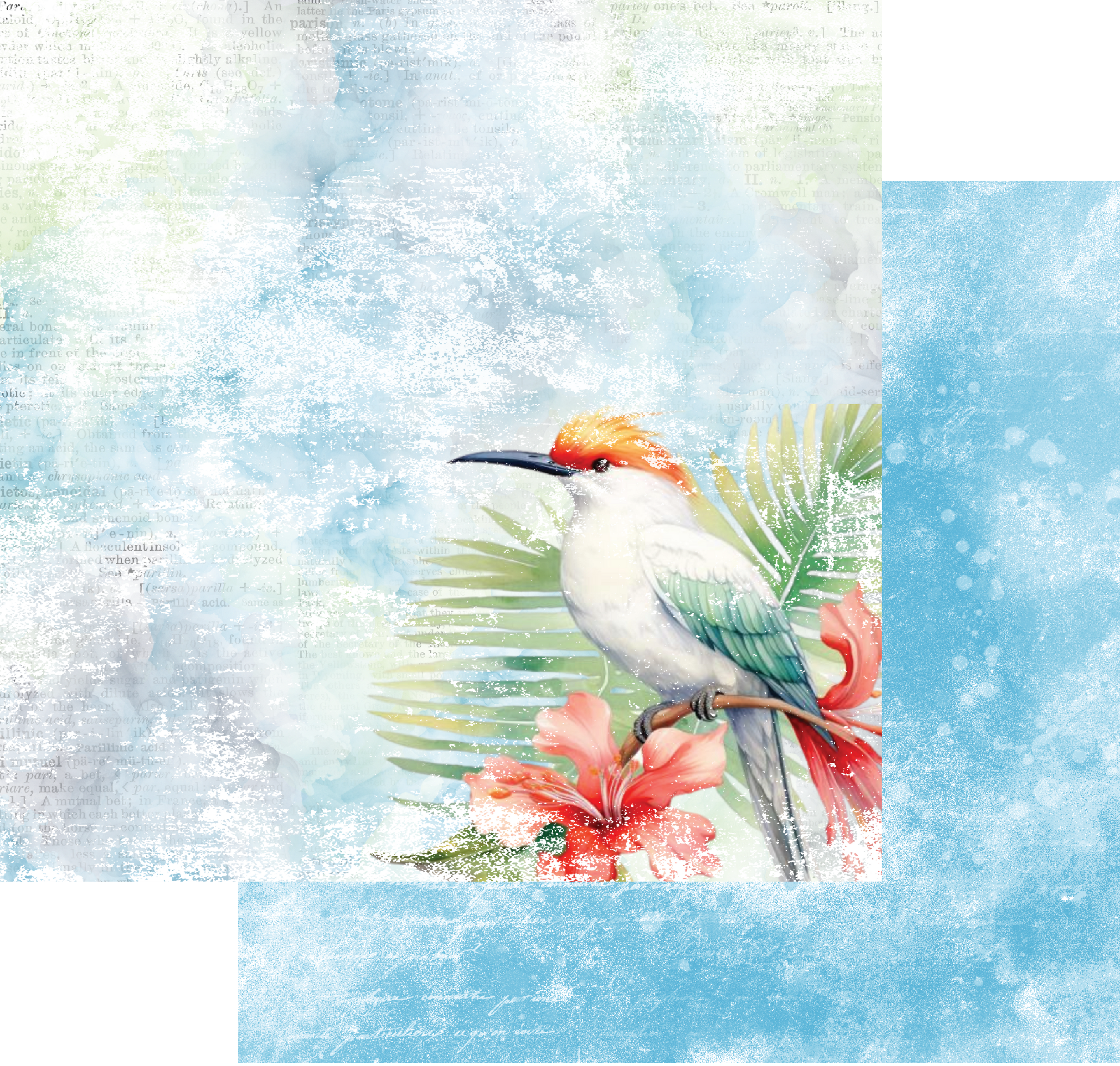 Summer Surfin’ 12x12 Patterned Paper