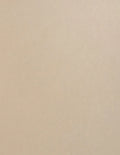 Cardstock - 100 lb. Heavy-Weight