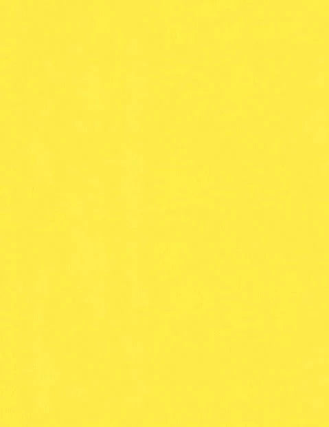 100 lb. Heavy Weight, Solid Core Cardstock